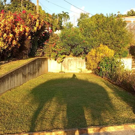 Charmant Appartement Verdoyant Le Morne-Vert Dış mekan fotoğraf