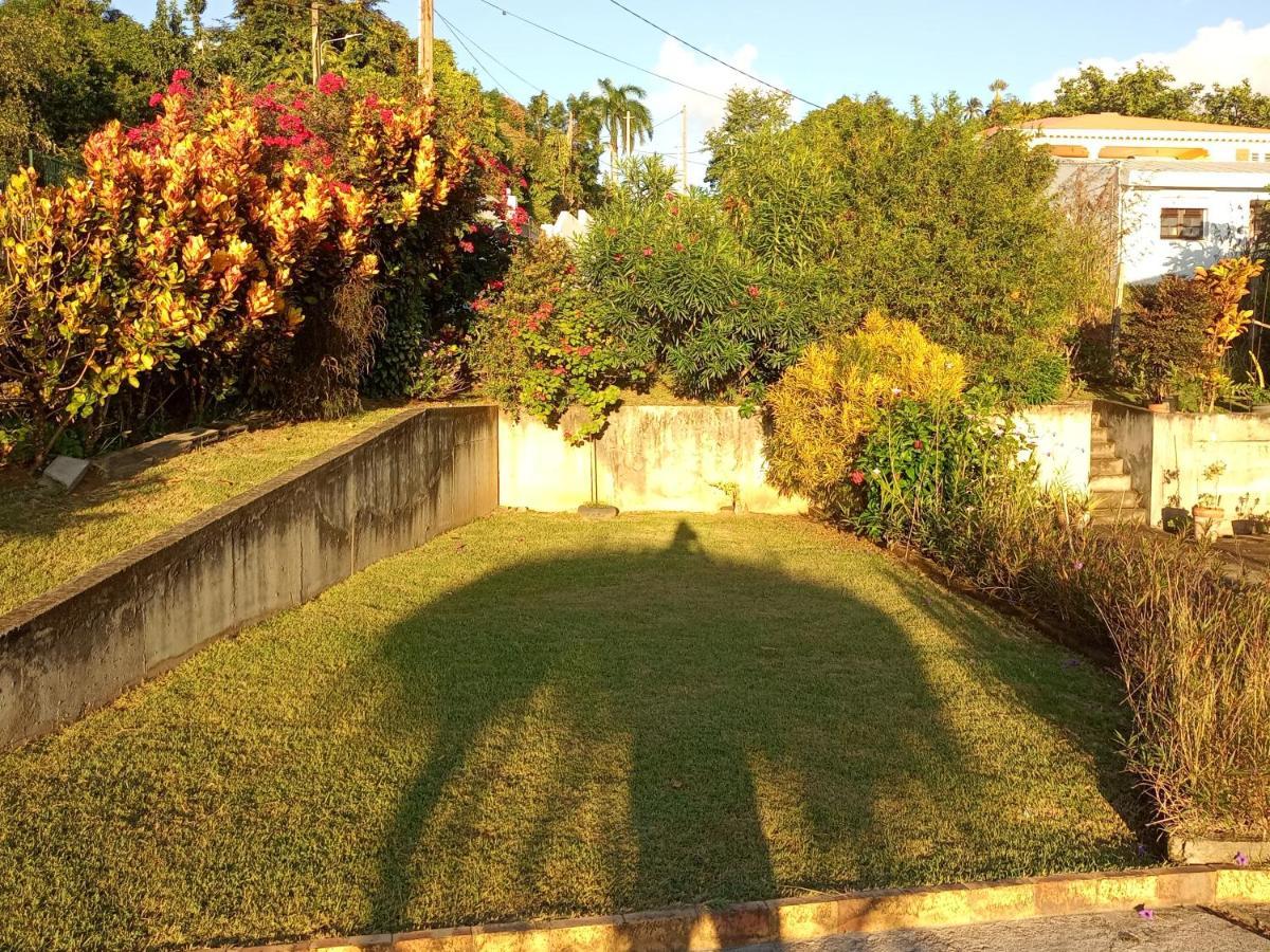 Charmant Appartement Verdoyant Le Morne-Vert Dış mekan fotoğraf